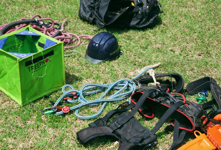 ツリークライミング（樹上作業）