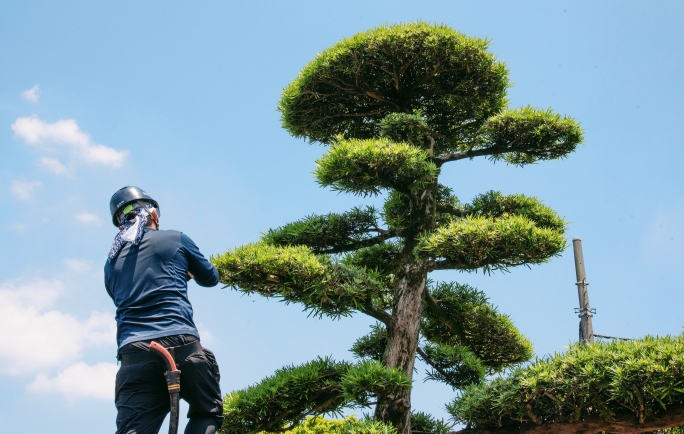 昇華園 山﨑晴久