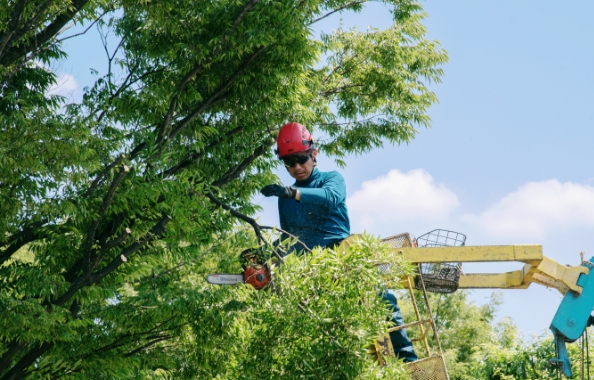 昇華園 山﨑晴久