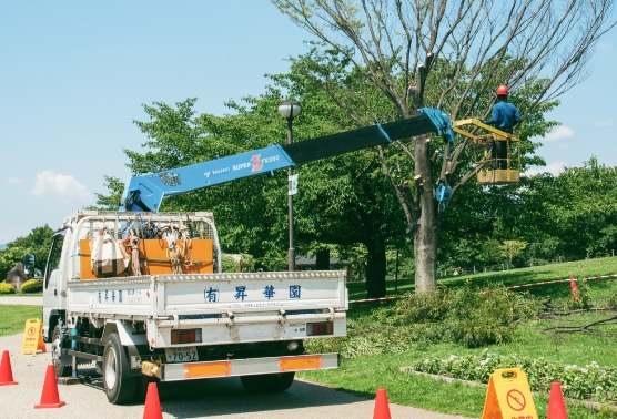 公園・街路樹整備